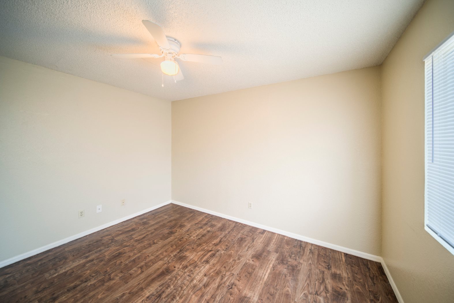 Gallery Photo 3